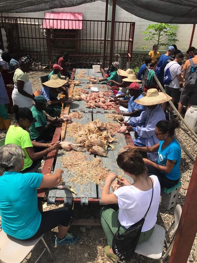 Estate 2017 - campus di volontariato in Haiti