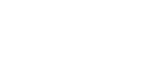 logo bianco Fondazione Francesca Rava